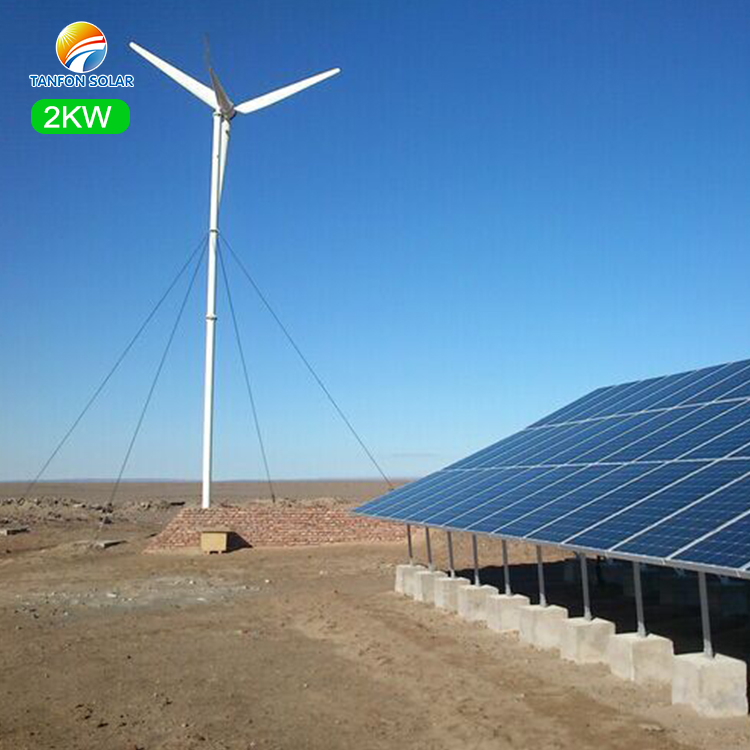 3kw wind solar hybrid system (1kw solar +2kw wind)